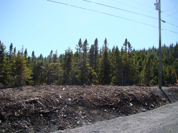 Lot 5 